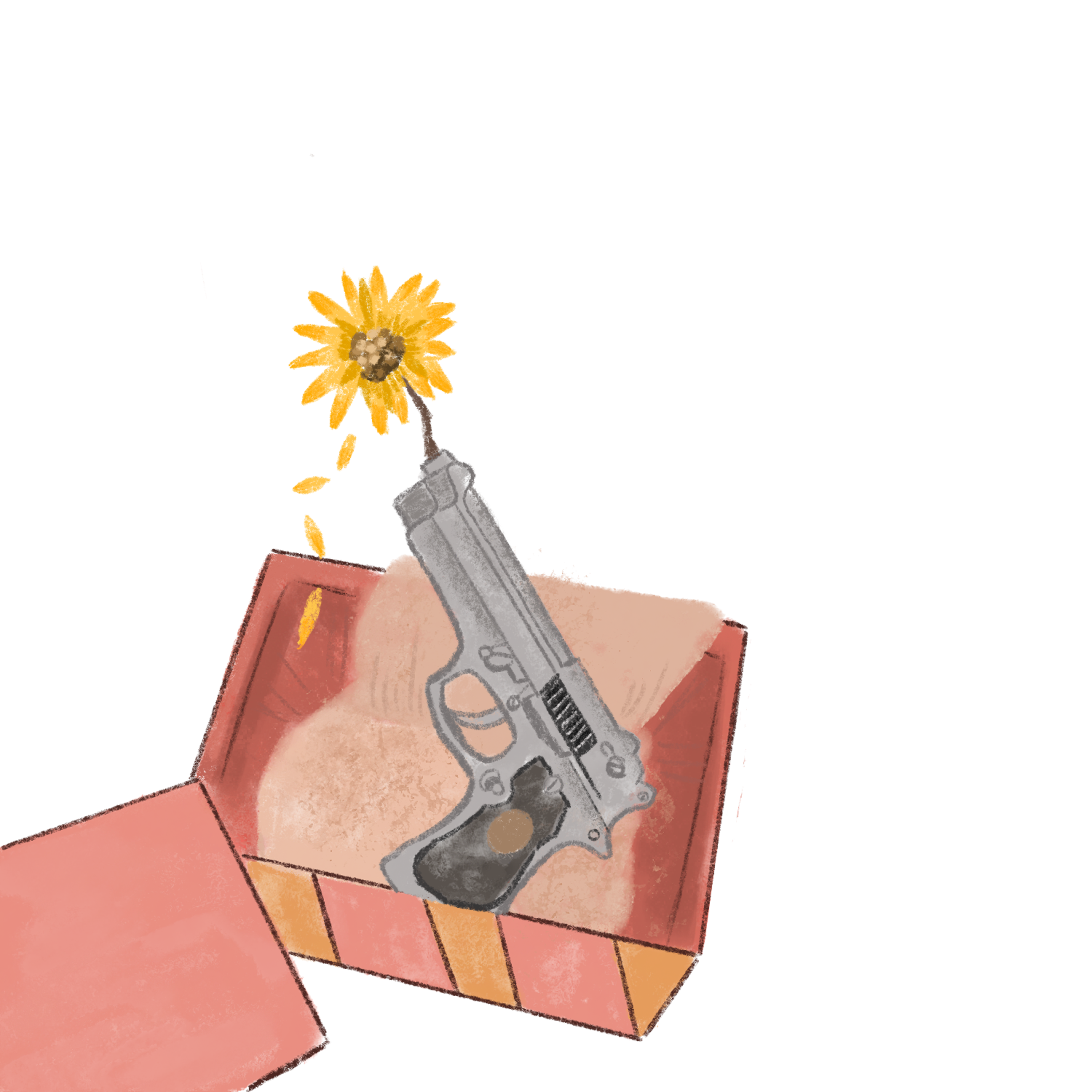 flower and gun in a box